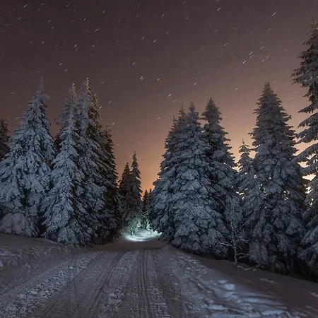 Lejlighed Z Panorama Szrenicy - Duzy 70m2, 2 Sypialnie I Salon, Idealny Dla Duzej Grupy! *
