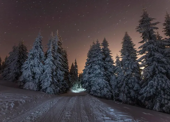 Lejlighed Z Panorama Szrenicy - Duzy 70m2, 2 Sypialnie I Salon, Idealny Dla Duzej Grupy! *