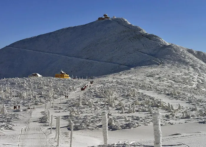 Z Panorama Szrenicy - Duzy 70m2, 2 Sypialnie I Salon, Idealny Dla Duzej Grupy!