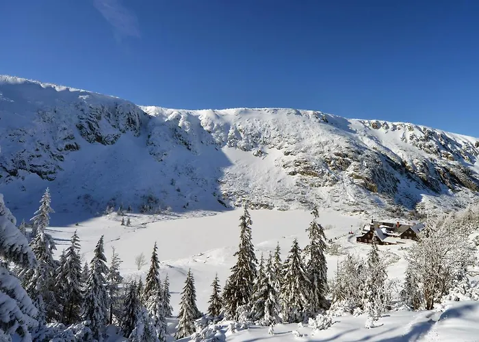 Z Panorama Szrenicy - Duzy 70m2, 2 Sypialnie I Salon, Idealny Dla Duzej Grupy! شكلارسكا بوريبا